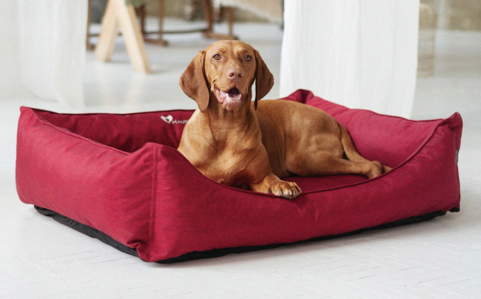 Cucce di qualità per il tuo cane